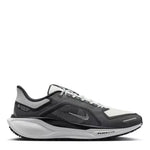 Nike Pegasus 41 GTX Black White (Water proof)