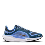 Nike Pegasus 41 GTX Blue(Water proof)